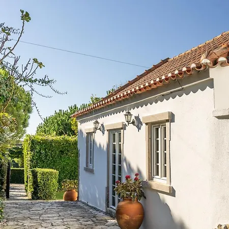 Vakantiehuis Country Village Senses Reguengo Grande